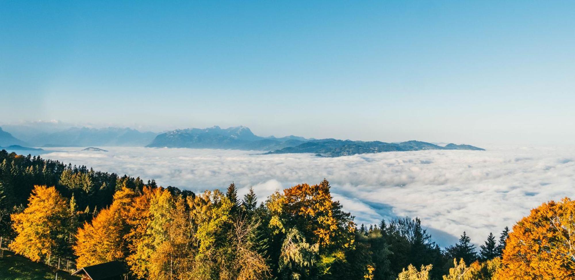 Seeblick Bregenz - Mit Parkgarage ภายนอก รูปภาพ